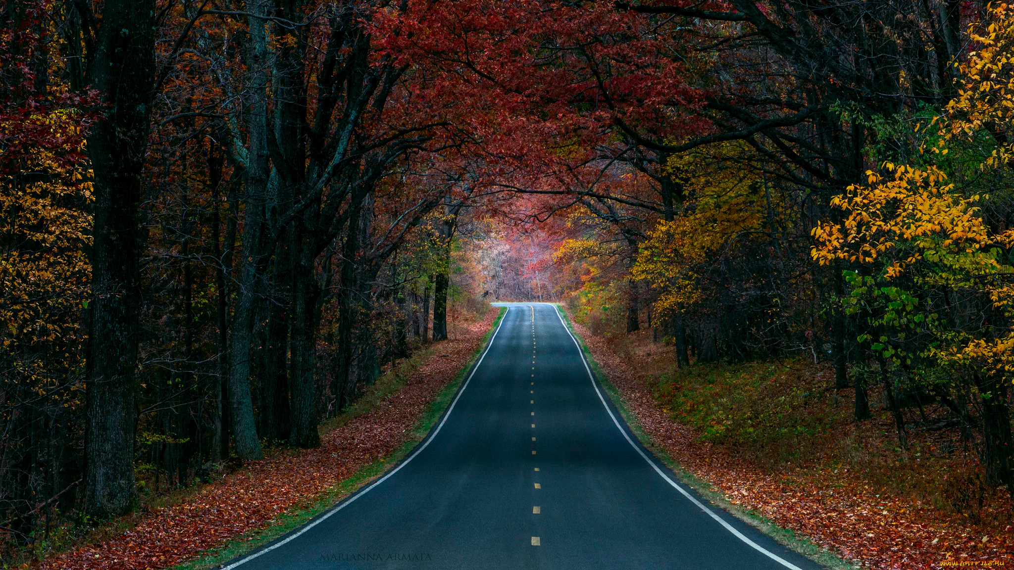 Обои дороги на столе. Осенняя дорога. Дорога в лесу. Дорога в осень. Красивая дорога.